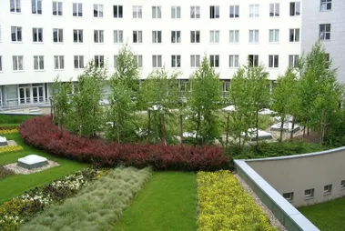 Iroda Terrapark C