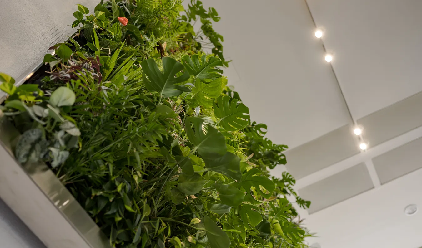 Iroda Capital Square